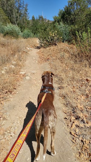Higginbotham Park - photo 51