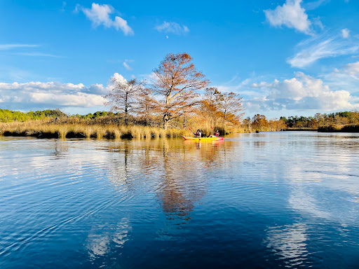 Surf Shop «Surf & Adventure Co.», reviews and photos, 577 Sandbridge Rd, Virginia Beach, VA 23456, USA