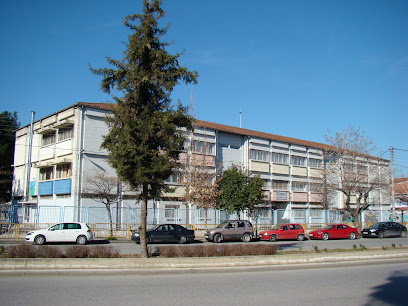 2nd Gymnasium (Middle School) of Larissa - Ir. Politechniou 189, Larisa 412 21, Greece