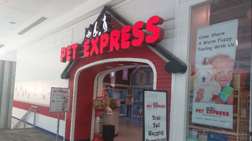 Pet Express, 250 Granite St, Braintree, MA 02184, USA, 