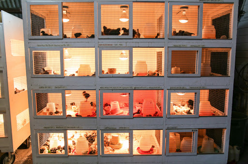 Animal Feed Store «Farmers Feed & Pet Supply», reviews and photos, 1302 E Miner Ave, Stockton, CA 95205, USA