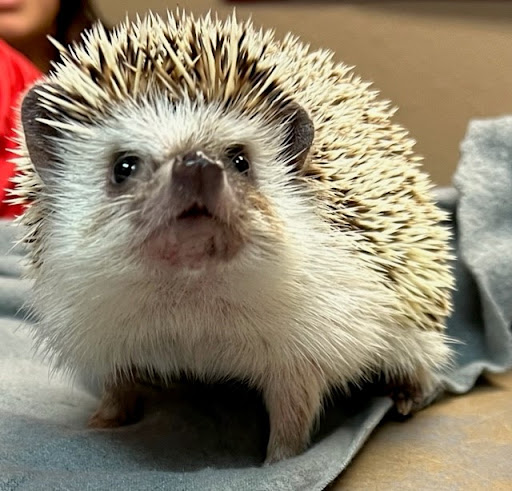 14127 US-181, Sinton, TX 78387, USA