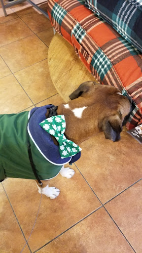 Pet Supply Store «Three Dog Bakery Inc», reviews and photos, 13904 Town Center Blvd # 200, Noblesville, IN 46060, USA