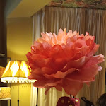 Photo n°4 de l'avis de michela.i fait le 08/05/2024 à 20:28 sur le  Pizzeria La Terrazza à Tirrenia