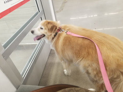 Pet Store «PetSmart», reviews and photos, 267 Berlin Turnpike, Berlin, CT 06037, USA