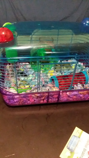 Pet Supply Store «PetSmart», reviews and photos, 950 Hanes Mall Blvd, Winston-Salem, NC 27103, USA