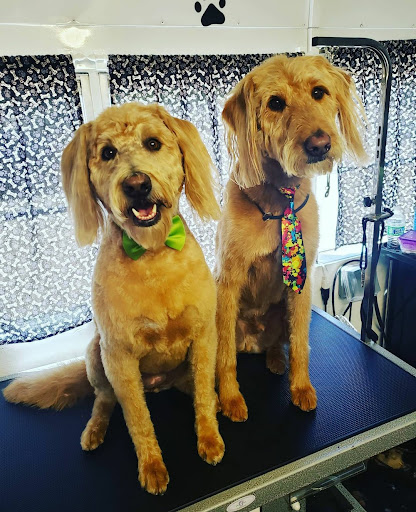 Something Special Dog Grooming