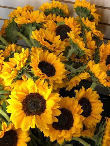 Florist «Cypress Gardens Flower Shop», reviews and photos, 10691 SW 72nd St, Miami, FL 33173, USA