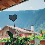 Photo n°1 de l'avis de Silvia.n fait le 14/08/2021 à 13:10 sur le  Ristorante Pizzeria Antiqva à Auronzo