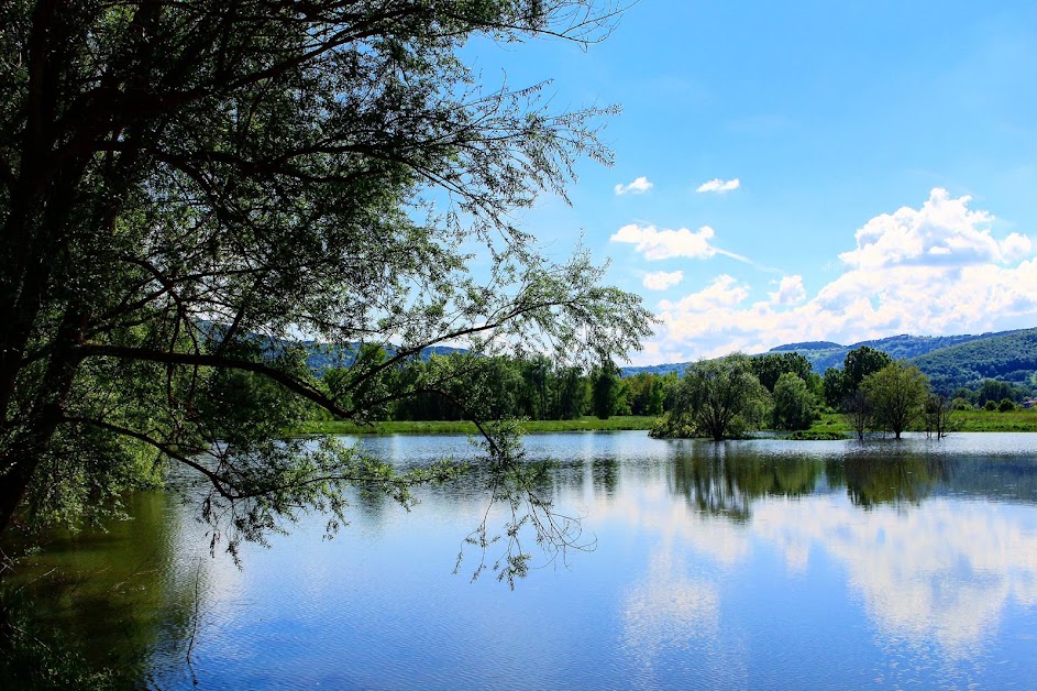 Les Etangs du Bord de Loire à Saint-Vincent