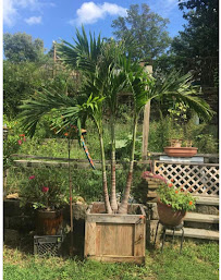 CT GardenScapes - Photo 3 - Car repair in , New Haven