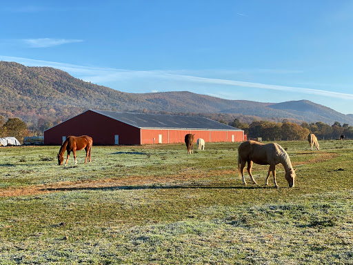 Horseback Riding Service «Secret Passage Ranch», reviews and photos, 321 Spring Mountain Way, Fort Valley, VA 22652, USA