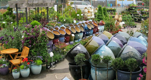 Sloat Garden Center