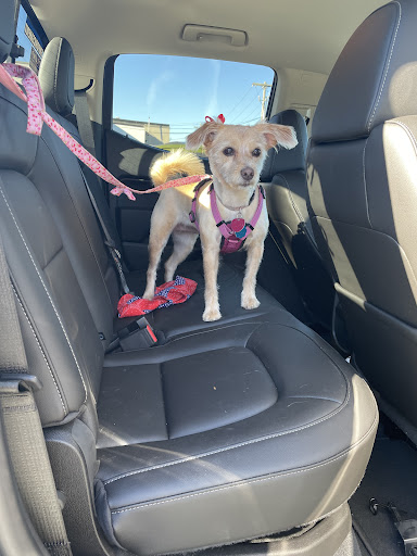 Pet Supply Store «PetSmart», reviews and photos, 1276 Bald Hill Rd, Warwick, RI 02886, USA