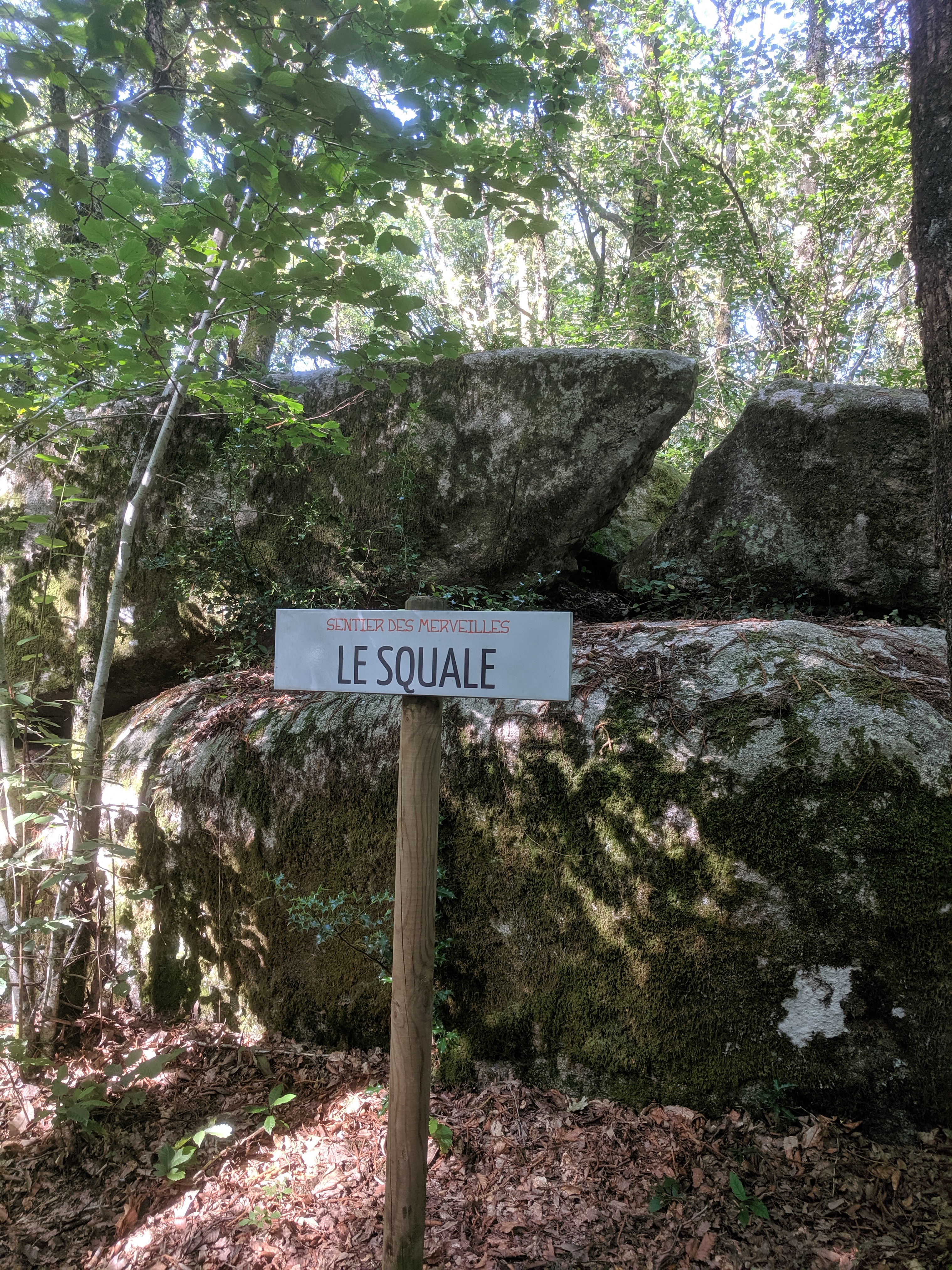 Photo n° 1 de l'avis de Aline.a fait le 07/08/2019 à 20:16