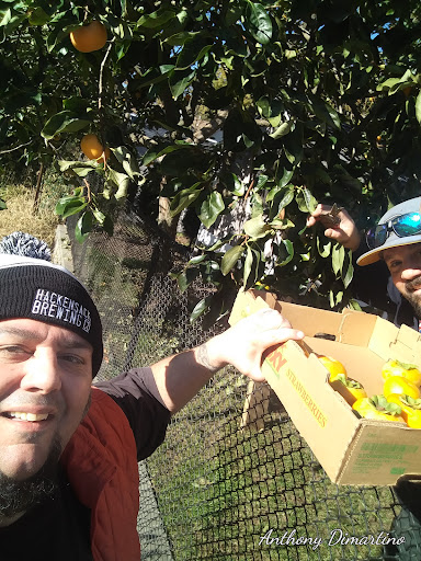 Golf Course «Orchard Hills Golf Course», reviews and photos, 404 Paramus Rd, Paramus, NJ 07652, USA