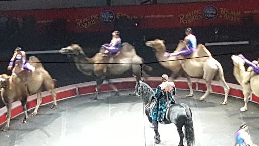 Hockey Rink «Giant Center», reviews and photos, 550 Hersheypark Dr, Hershey, PA 17033, USA