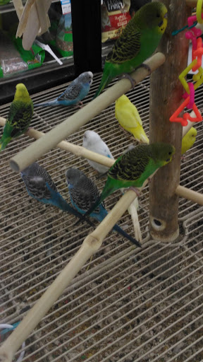 Pet Supply Store «Petco Animal Supplies», reviews and photos, 19 Shining Willow Way, La Plata, MD 20646, USA