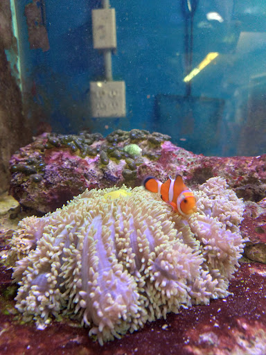 Pet Store «Marineland Pet Center», reviews and photos, 412 Oak Forest Dr, Onalaska, WI 54650, USA