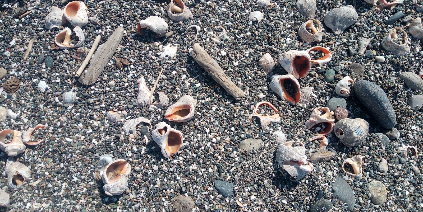 Bobokvati beach'in fotoğrafı doğal alan içinde bulunmaktadır