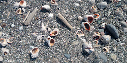 Bobokvati beach'in fotoğrafı doğal alan içinde bulunmaktadır