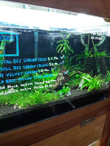 Tropical Fish Store «Aqua Forest Aquarium», reviews and photos, 1718 Fillmore St, San Francisco, CA 94115, USA