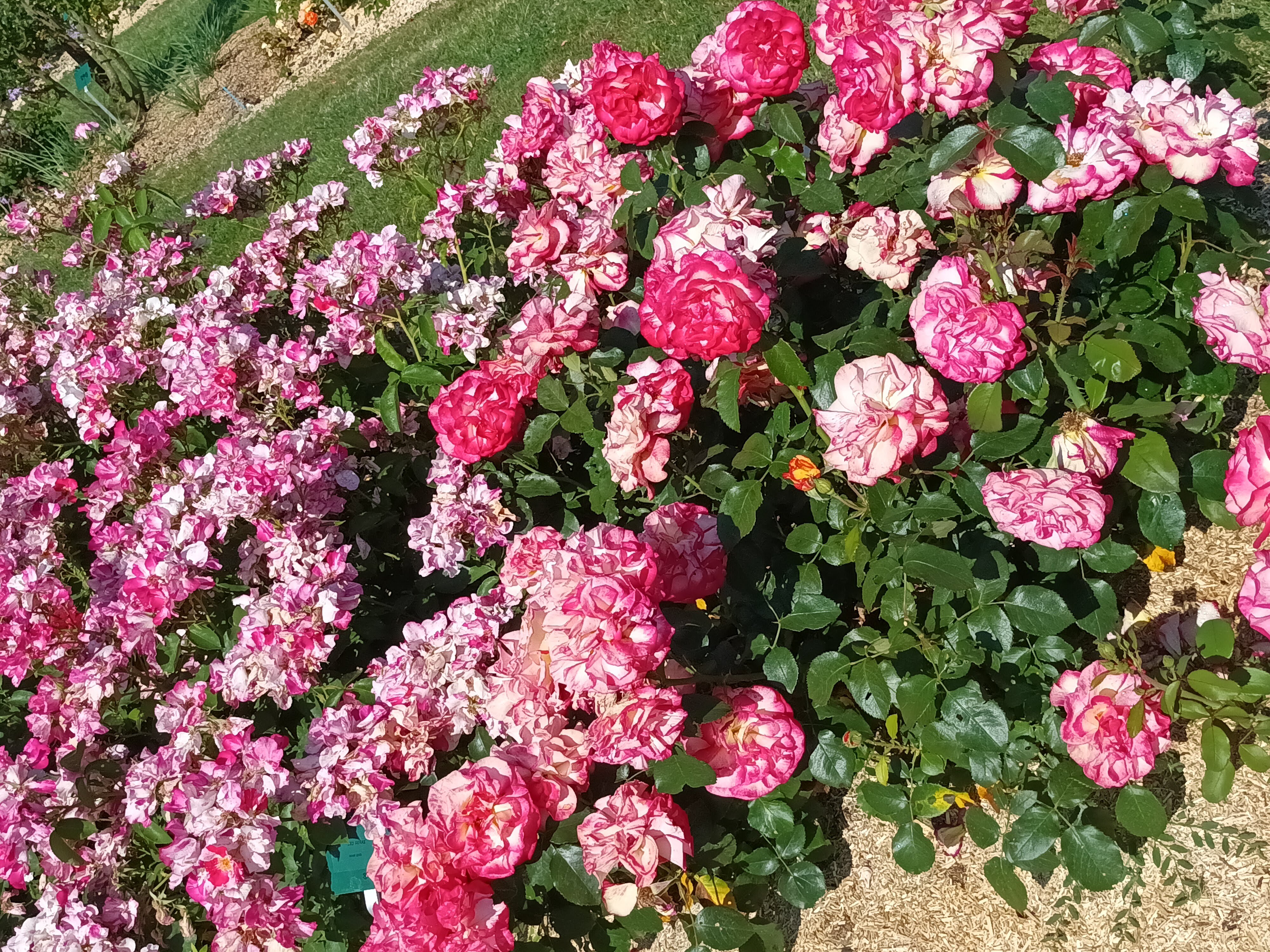 Photo n° 3 de l'avis de nadine.u fait le 07/06/2023 à 14:37