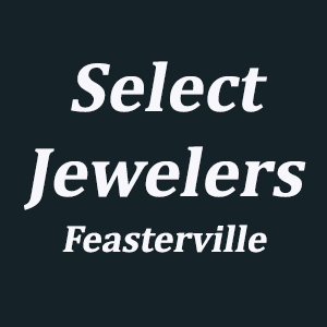 Jeweler «Select Jewelers Inc», reviews and photos, 262 E Street Rd, Feasterville-Trevose, PA 19053, USA