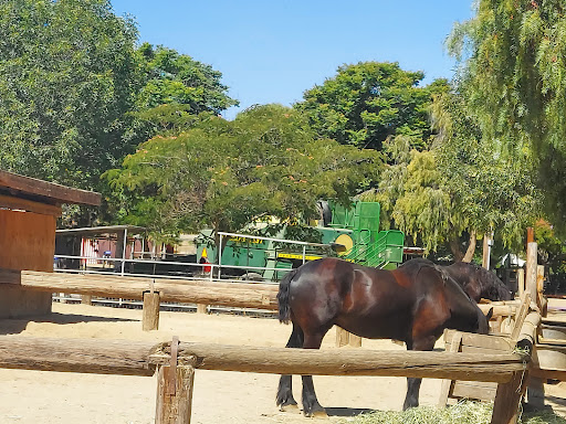Produce Market «Underwood Family Farms», reviews and photos, 3370 Sunset Valley Rd, Moorpark, CA 93021, USA