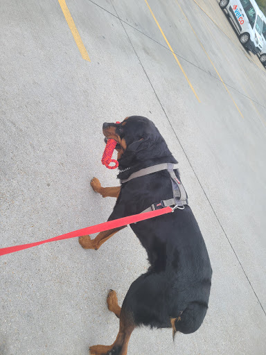 Pet Supply Store «Petco Animal Supplies», reviews and photos, 14609 Airline Hwy Ste 104, Gonzales, LA 70737, USA