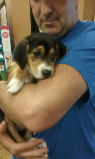 Pet Supply Store «PetSmart», reviews and photos, 1600 Marcus Ave, New Hyde Park, NY 11040, USA