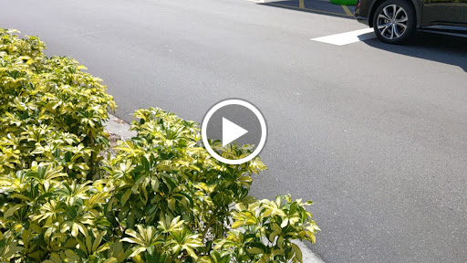 Supermarket «Publix Super Market at Lakewood Walk», reviews and photos, 11205 E State Rd 70, Bradenton, FL 34202, USA