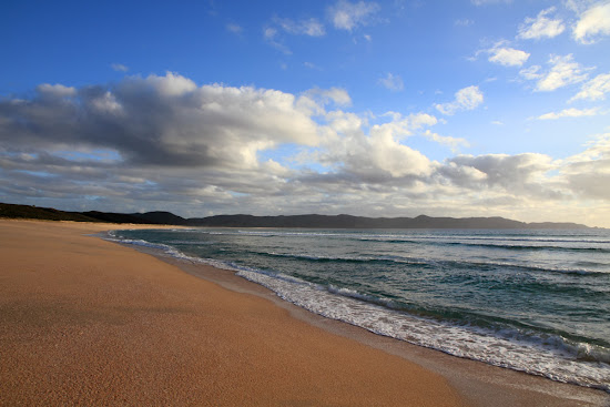 Maungapiko Beach