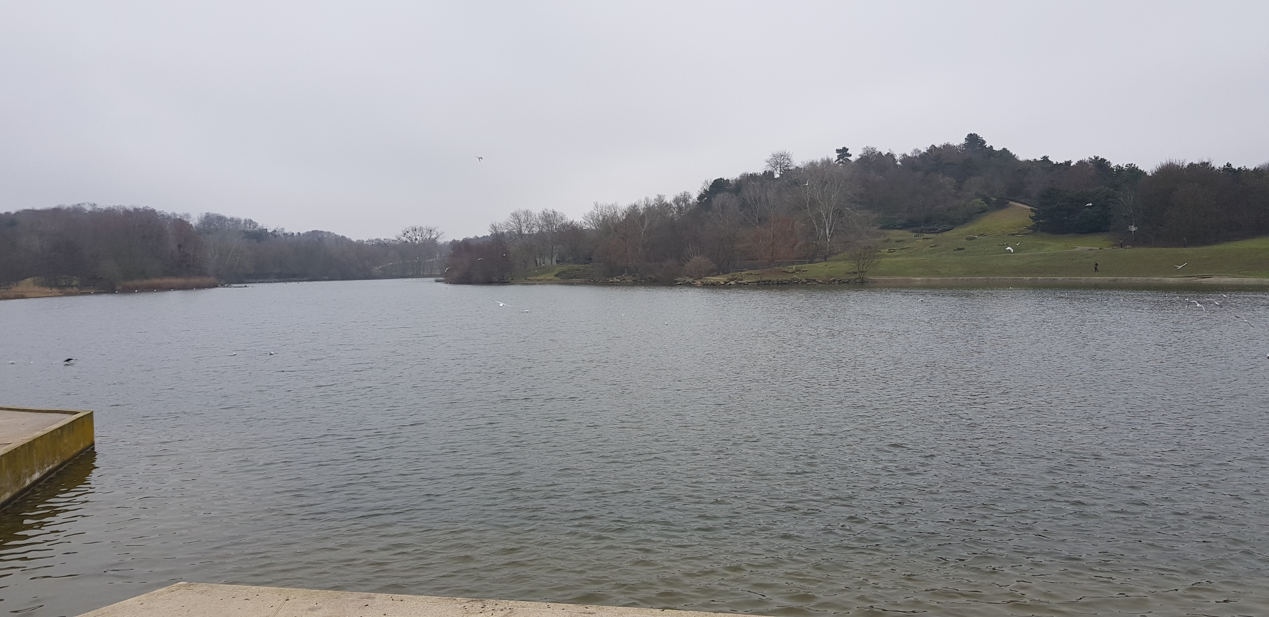 Photo n° 7 de l'avis de MICHELSON. fait le 20/01/2019 à 13:37