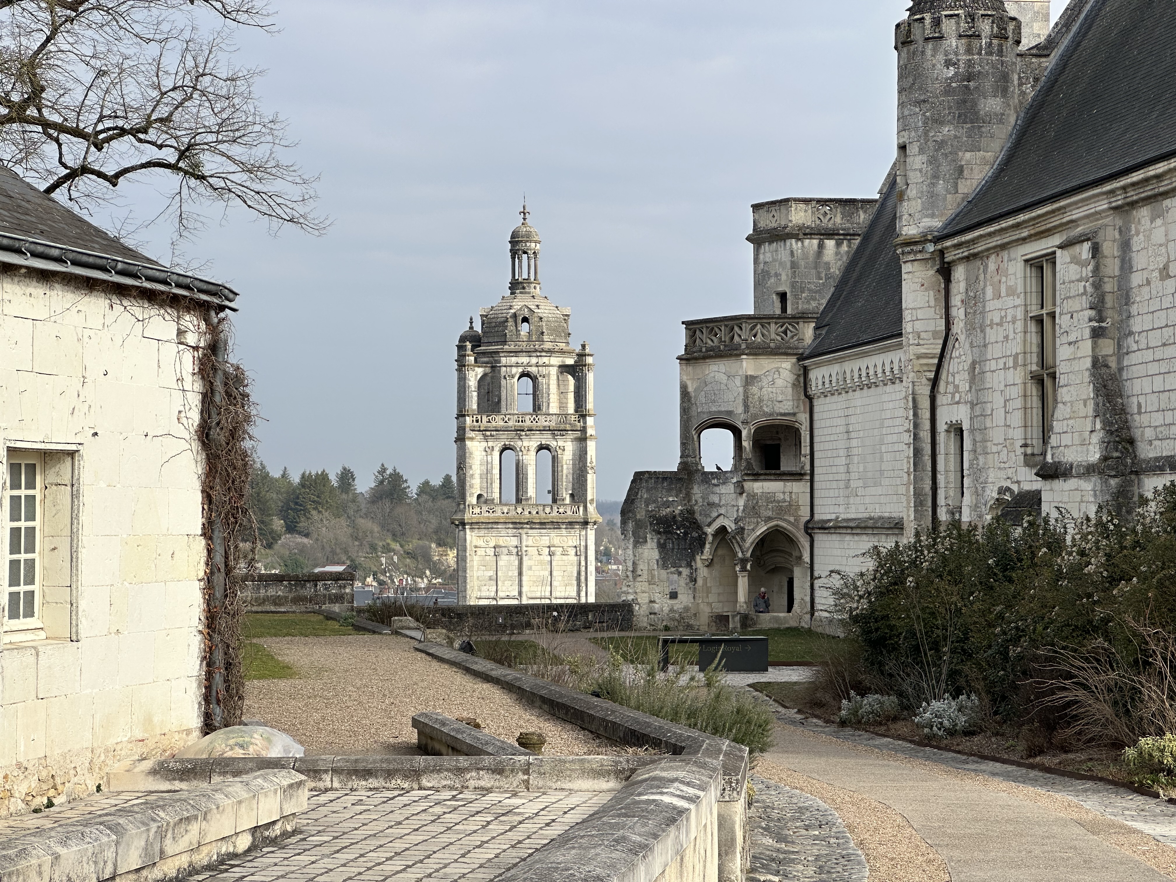 Photo n° 2 de l'avis de Didier.a fait le 13/03/2023 à 04:10