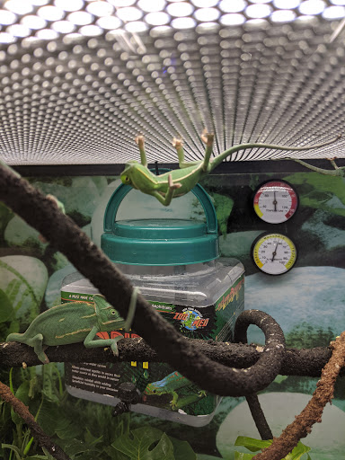 Pet Supply Store «Petco Animal Supplies», reviews and photos, 6140 University Dr, Huntsville, AL 35806, USA