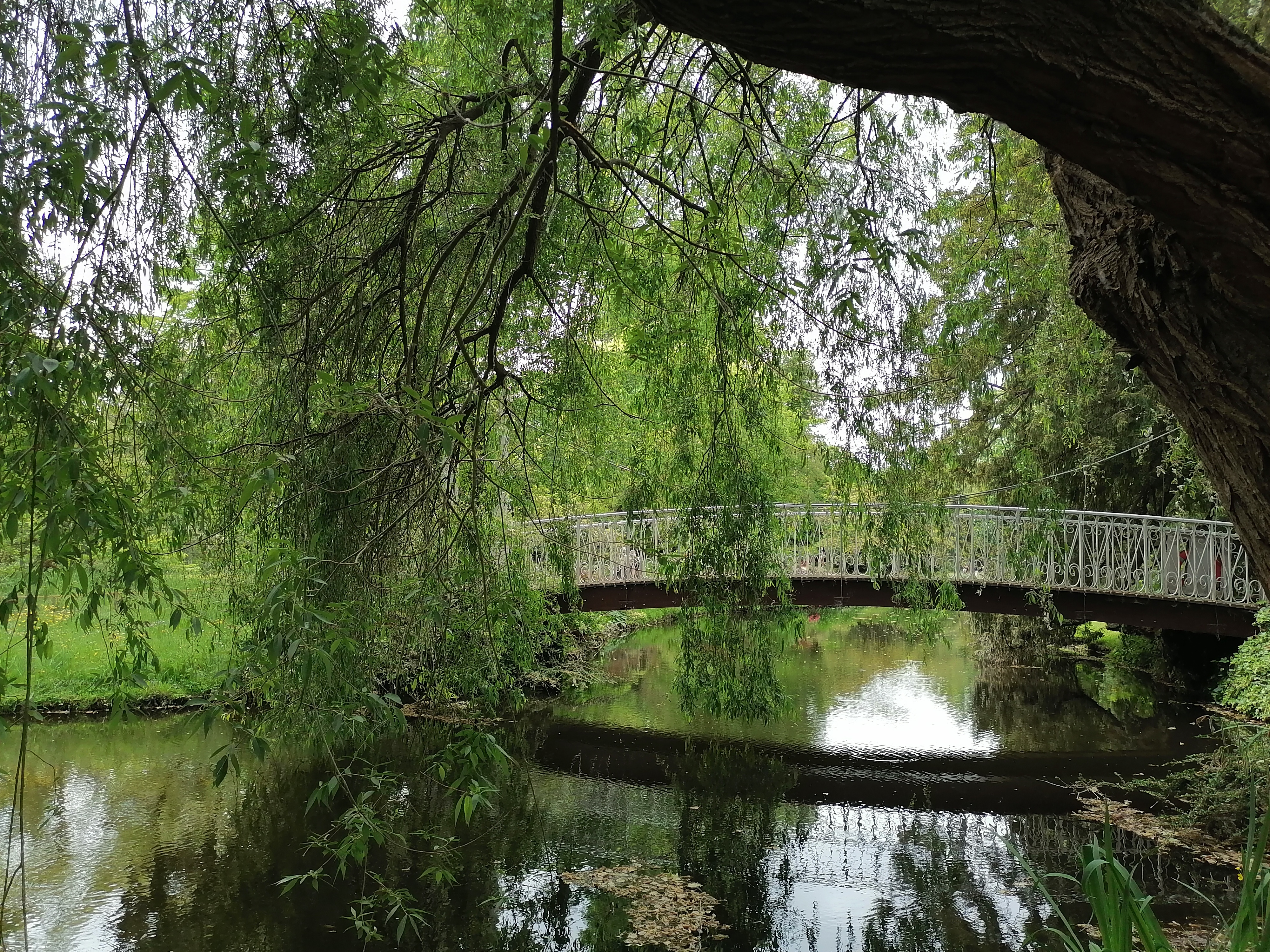 Photo n° 5 de l'avis de Vivi.i fait le 16/05/2022 à 19:14