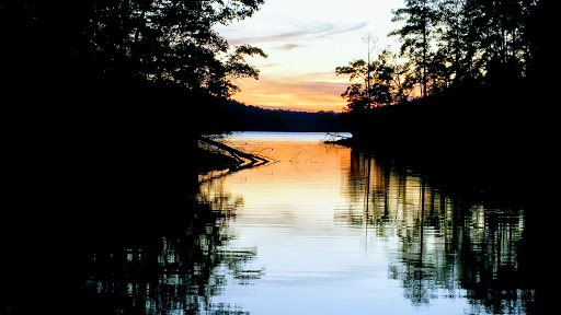 National Forest «Tuskegee National Forest», reviews and photos, 125 National Forest Rd 949, Tuskegee, AL 36083, USA