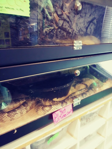 Reptile Store «Pets & Things», reviews and photos, 44825 Van Dyke, Utica, MI 48317, USA