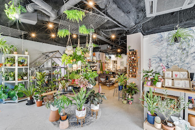 PILEA - jardinerie urbaine à Montpellier