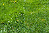 Green Guys Custom Lawn Fertilization - Photo 7 - Car repair in Dexter, MI, Ann Arbor