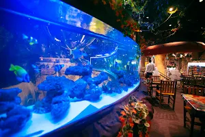 Rainforest Cafe Restaurant, Abu Dhabi image