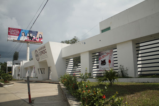 Centro de Estudios Profesionales de Grijalva