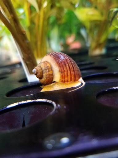 Pet Supply Store «Petco Animal Supplies», reviews and photos, 7215 170th Ave NE #115, Redmond, WA 98052, USA