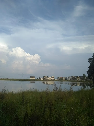 Tourist Attraction «Wetlands overlook park», reviews and photos, 4020 11th St, North Beach, MD 20714, USA