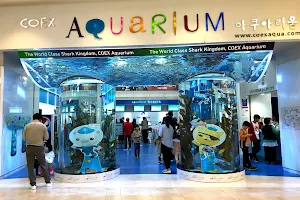 Coex Aquarium image