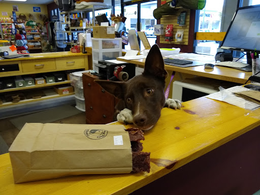 Pet Supply Store «Healthy Pets Northwest», reviews and photos, 4435 SE Woodstock Blvd, Portland, OR 97206, USA