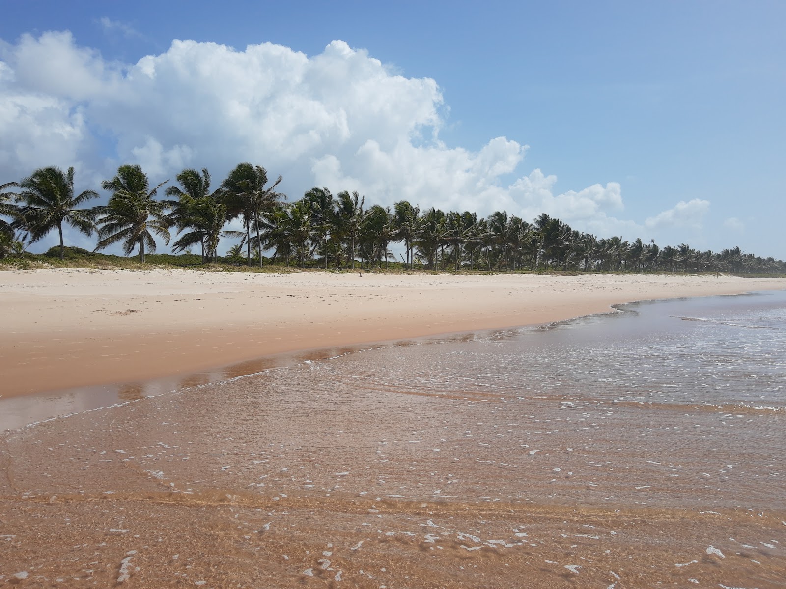 Praia do Caribinho photo #7
