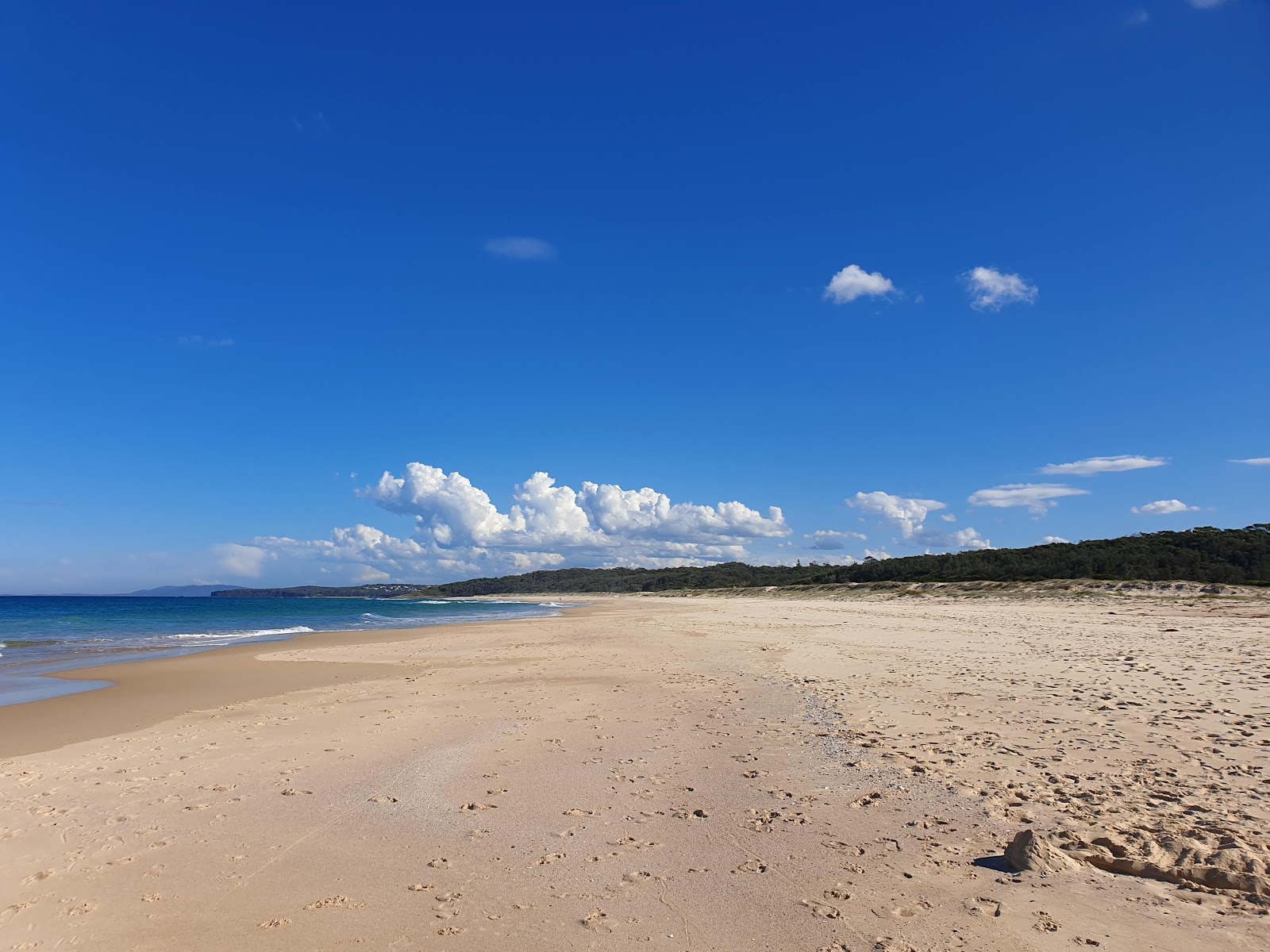 Racecourse Beach photo #8