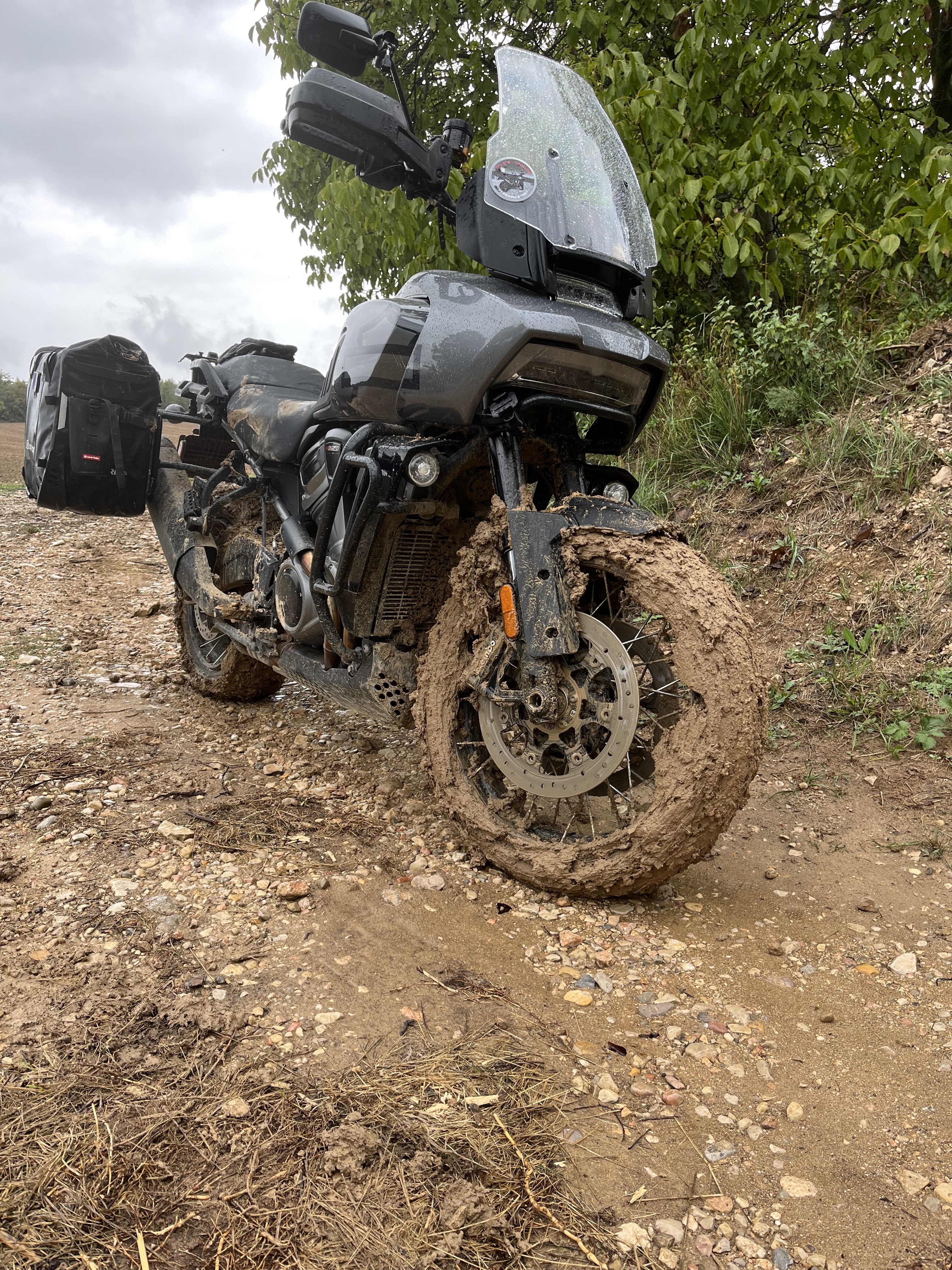 Photo n° 1 de l'avis de Bru.e fait le 27/09/2022 à 20:52